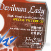 Devilman Lady Music CD "Setsuna no Yume" Special Picture CD JAPAN ANIME NAGAI GO Japanimedia Store