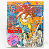 RARE! Chrono Trigger Full-Color Game Guide Book V Jump 1995 Japanimedia Store FRONT