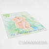 RARE! Megazone 23 Eve Tokimatsuri Picture Plastic Pencil Board Pad Shitajiki Japanimedia Store