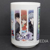 Evangelion Japanese Tea Cup Yunomi Shinji Rei Asuka Kaworu Mari Kimono ver.