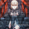 Fate/Stay Night Fantasm Box #2 Saber Alter /Bust Figure/LCD Keychain/B2 Tapestry