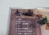 Maiko Fujita Mouichido Japan Music CD+DVD Theme Song of Hiiro no Kakera Game PS3