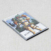 Dragon Ball Plastic Card 3pc + Card Case Bulma Gokou JAPAN ANIME Japanimedia Store