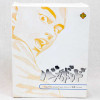 Vagabond Action figure Series 2 Insyun Fewture Takehiko Inoue JAPAN Japanimedia Store 8