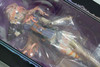 Macross Frontier Sheryl Nome FB7 Ver. Figure Banpresto Ichiban Kuji JAPAN ANIME Japanimedia Store