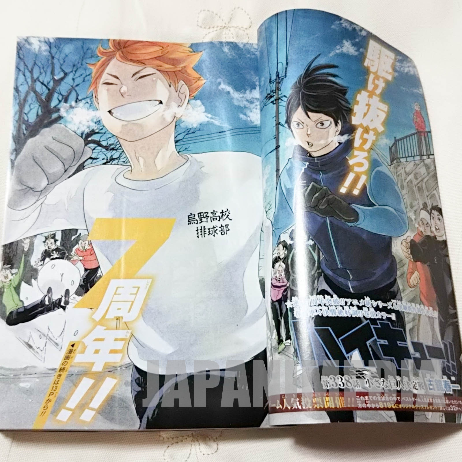 Weekly Shonen JUMP  Vol.12 2019 Haikyu!! / Japanese Magazine JAPAN MANGA