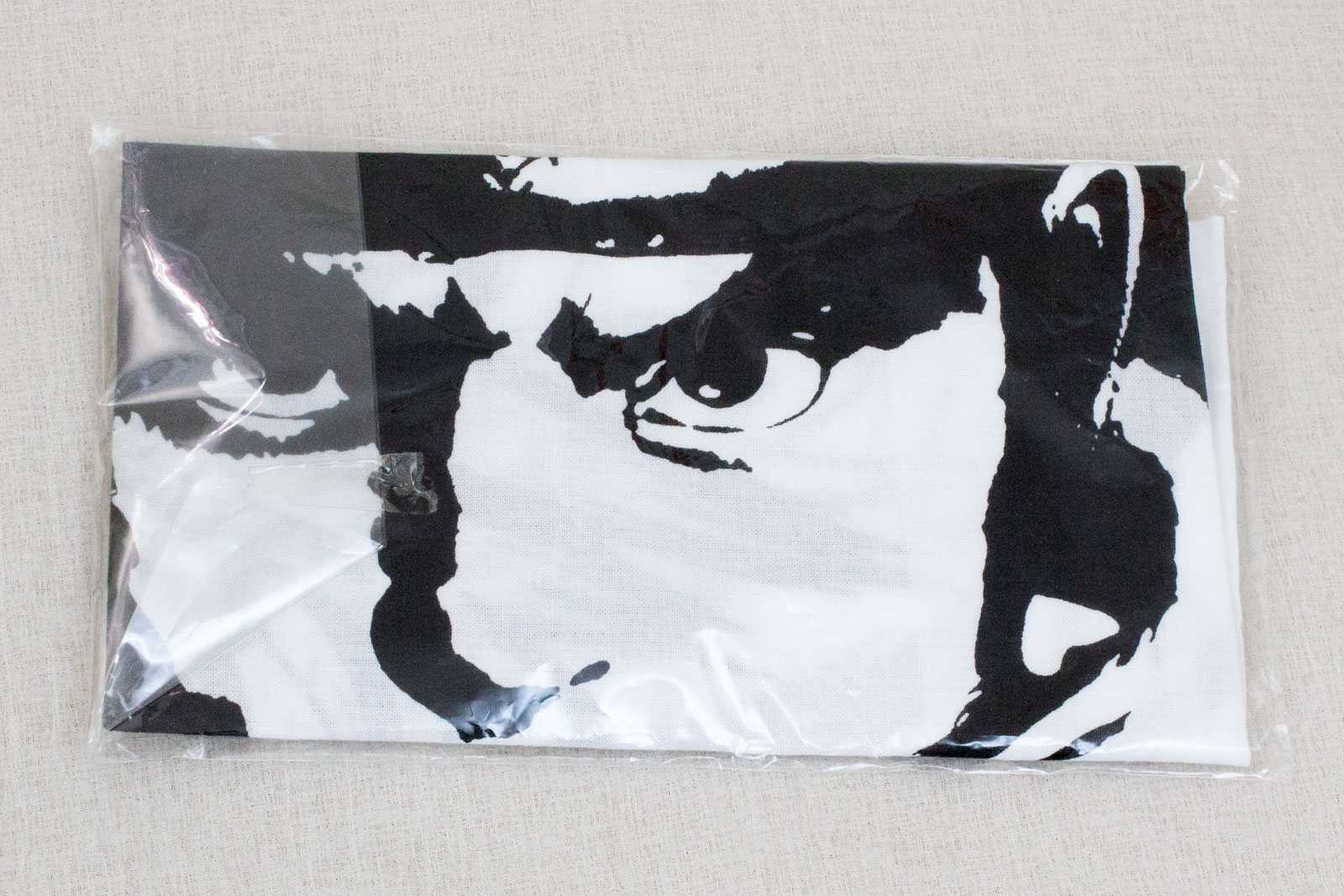 Street Fighter 4 Ryu Cloth AOU 2008 Amusement Expo Capcom Character JAPAN GAME Japanimedia Store