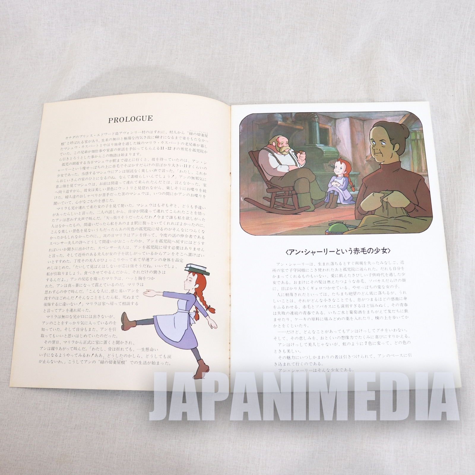 Anne of Green Gables A4 Size Program Book World Masterpiece JAPAN ANIME