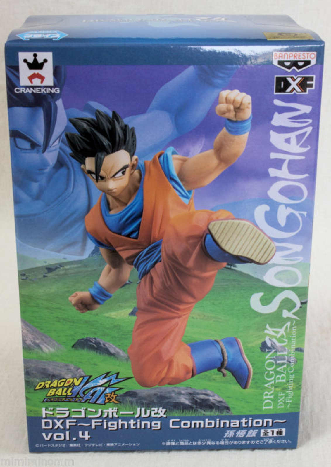 Dragon Ball Z Son Gohan Fighting Combination DXF Figure Banpresto JAPAN ANIME