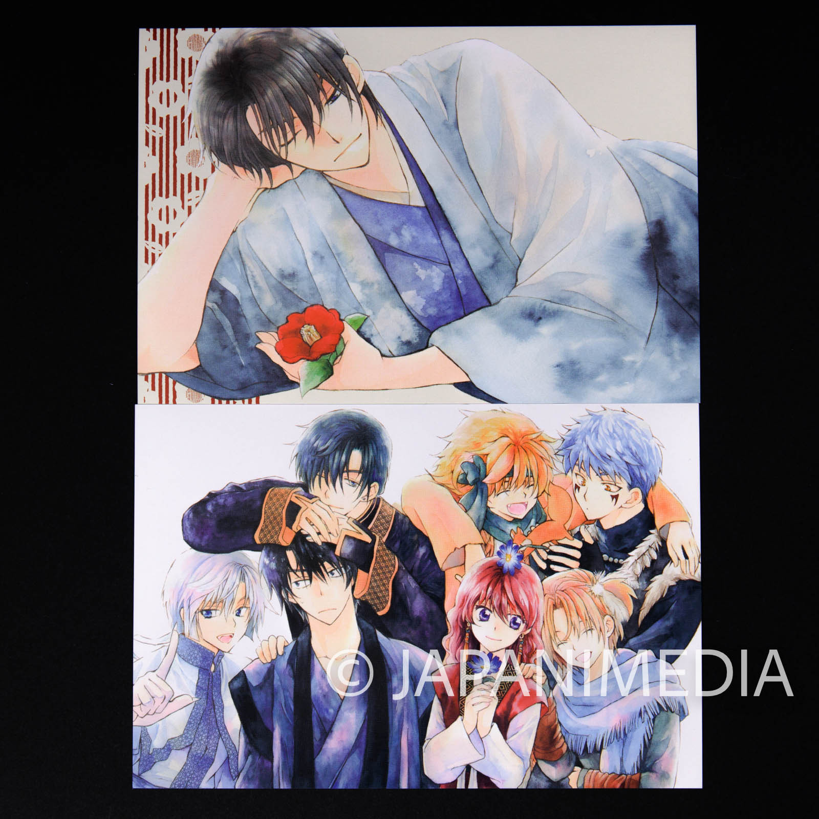 Yona of the Dawn Arts collection Postcard set (Postcard 30pc + 1pc & Card case) JAPAN MANGA