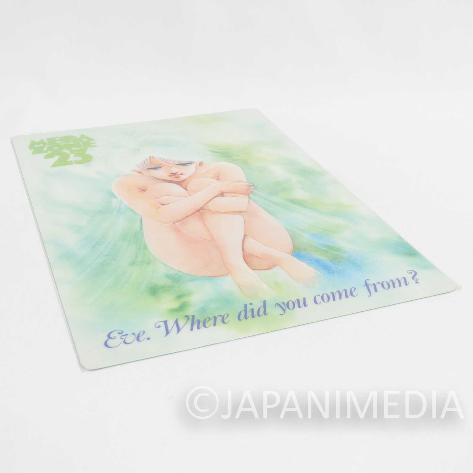 RARE! Megazone 23 Eve Tokimatsuri Picture Plastic Pencil Board Pad Shitajiki Japanimedia Store
