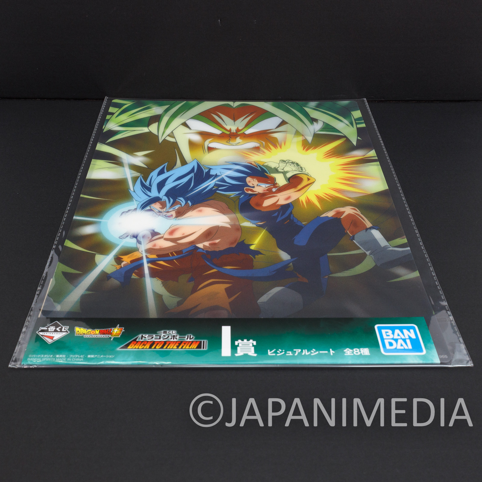 Dragon Ball Z Plastic Visual Sheet 14x10inch #2 Gokou Vegeta Broly BANDAI