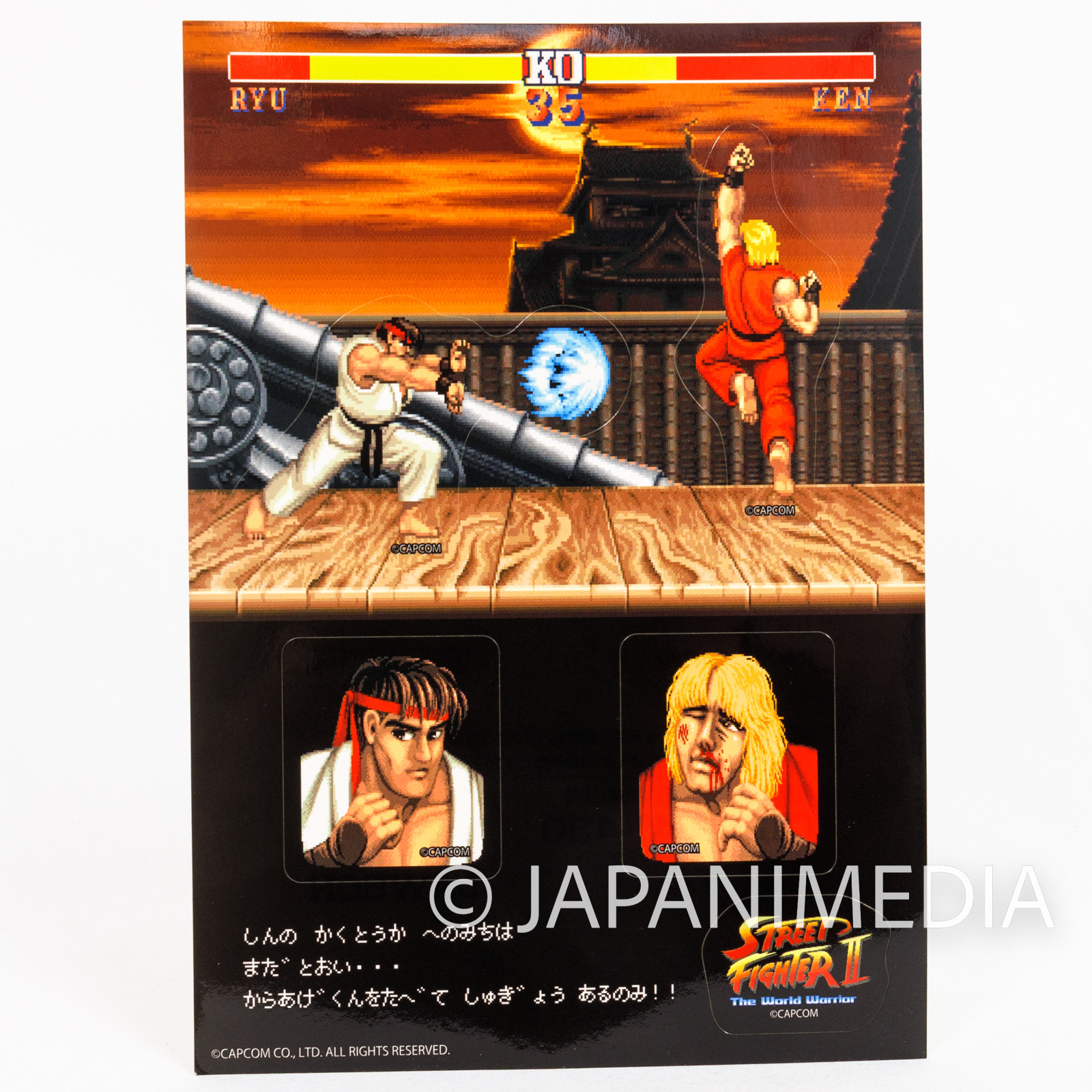 Street Fighter Sticker Sheet RYU vs KEN