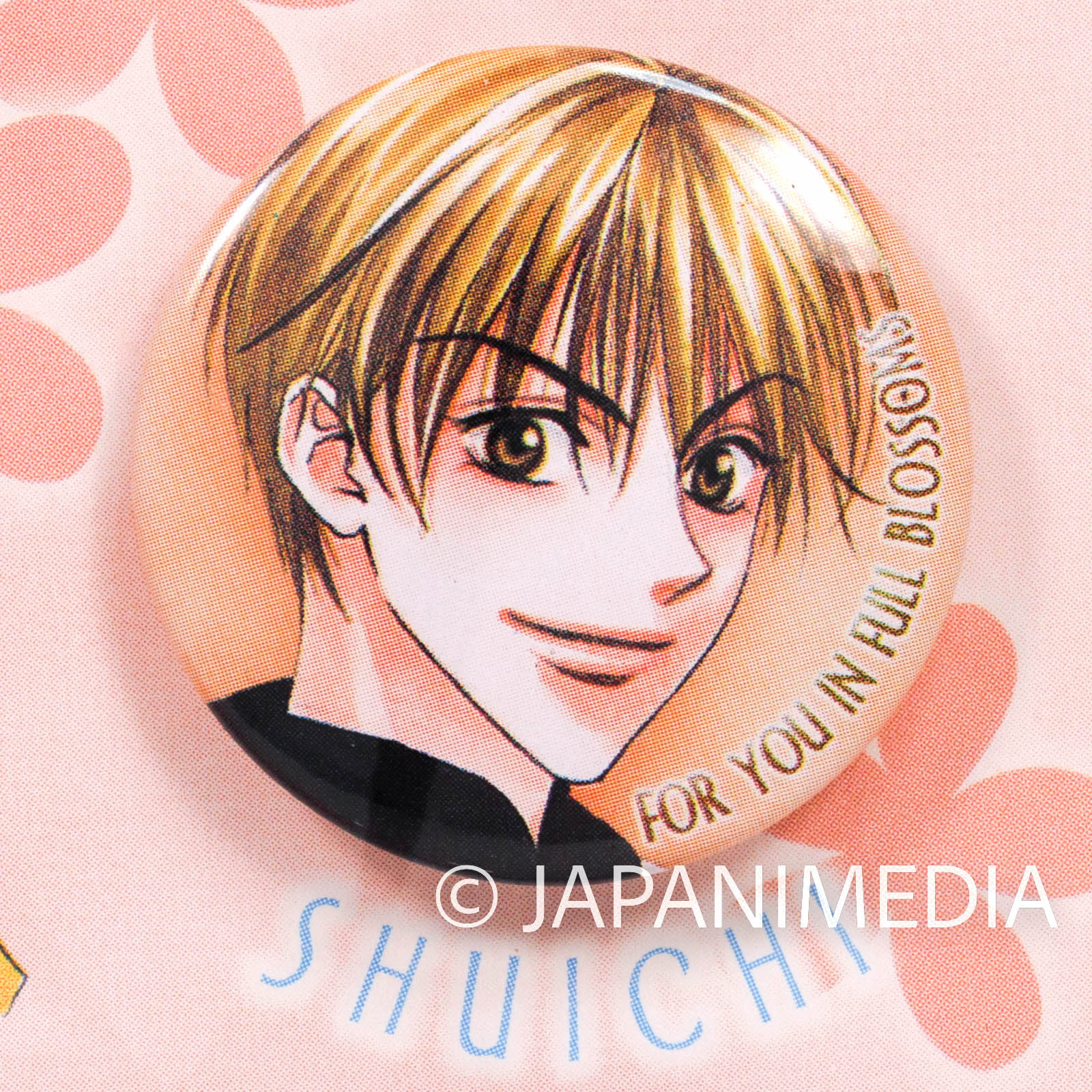 Hana-Kimi Button badge 7pc & Keychain case set collection JAPAN MANGA