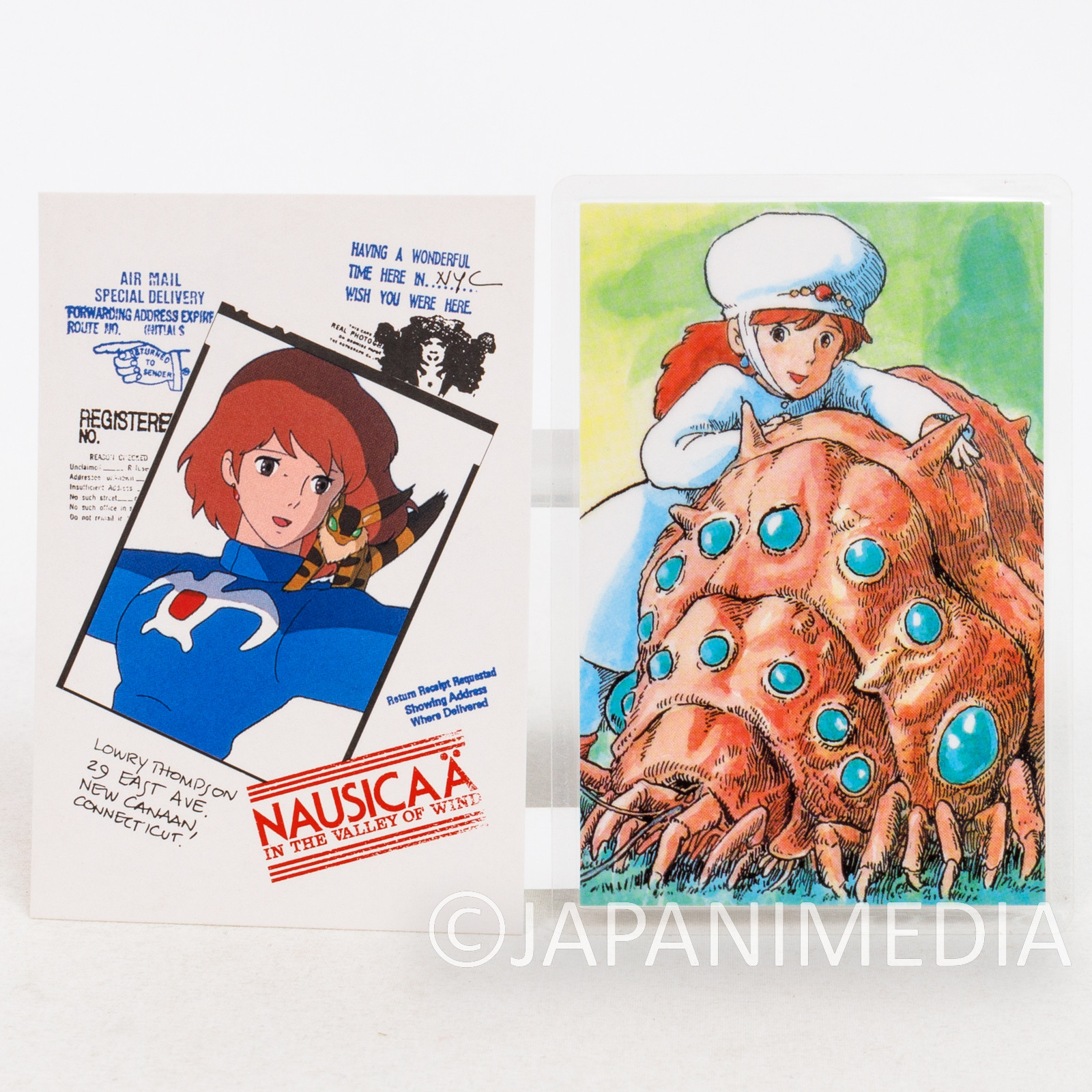 Retro RARE Nausicaa of the Valley of the Wind Pass Card Case Holder Ghibli 2