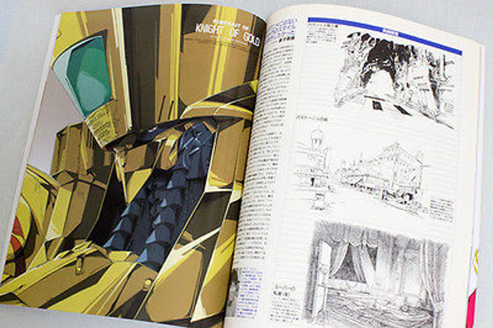 F.S.S.DESIGNS EASTER A.K.D. Five Star Story Art Book Mamoru Nagano JAPAN  ANIME