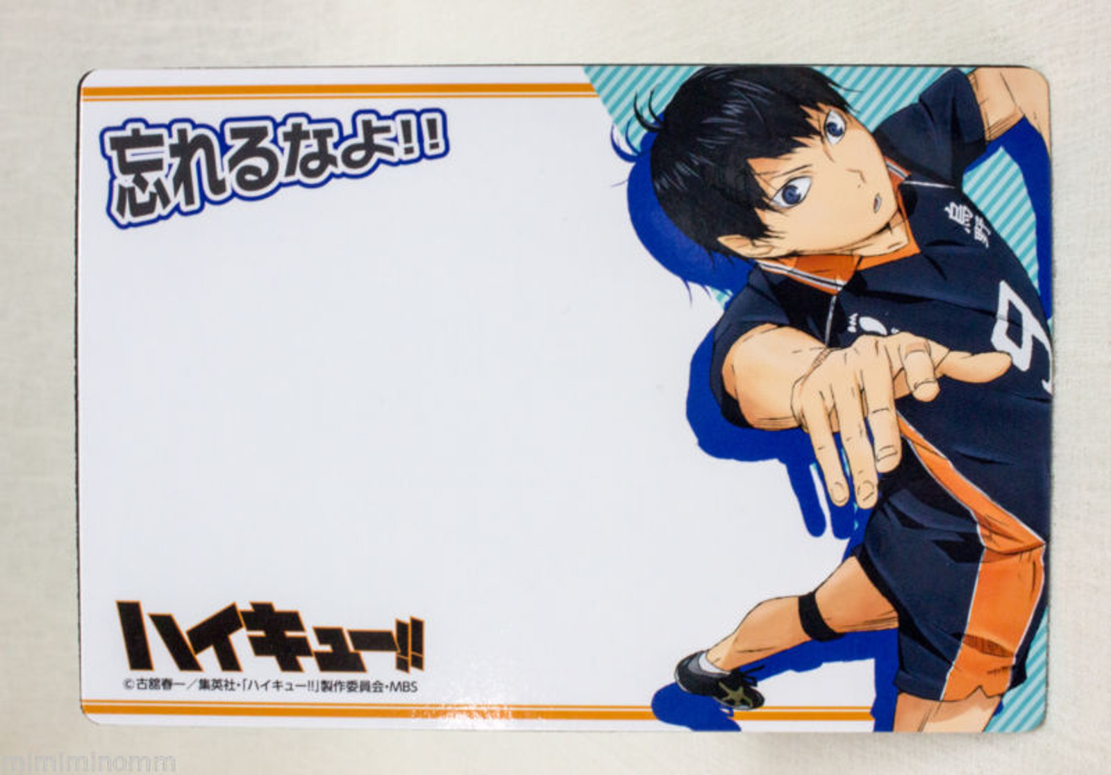 Haikyu!! Magnet Sheet Set Tobio Kageyama + Aobajosai JAPAN ANIME MANGA