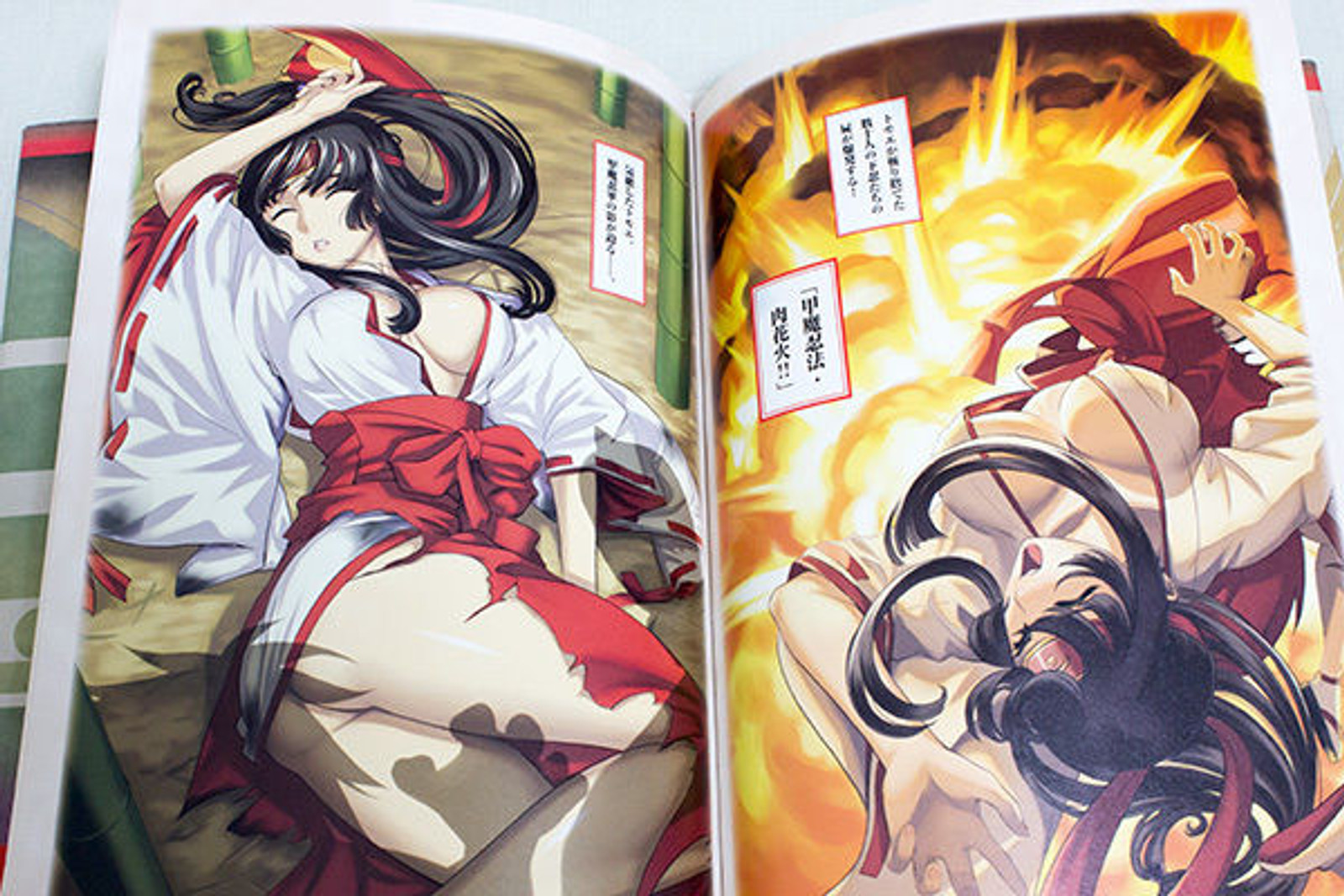 Queen's Blade Bitoushi Retsuden MusyaMiko Tomoe Illustration Art Book JAPAN