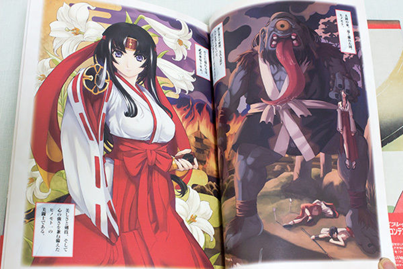 Queen's Blade Bitoushi Retsuden MusyaMiko Tomoe Illustration Art Book JAPAN