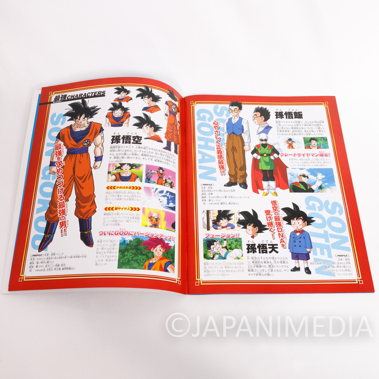 Dragon Ball Z Battle of Gods Movie Program Art Book JAPAN ANIME MANGA