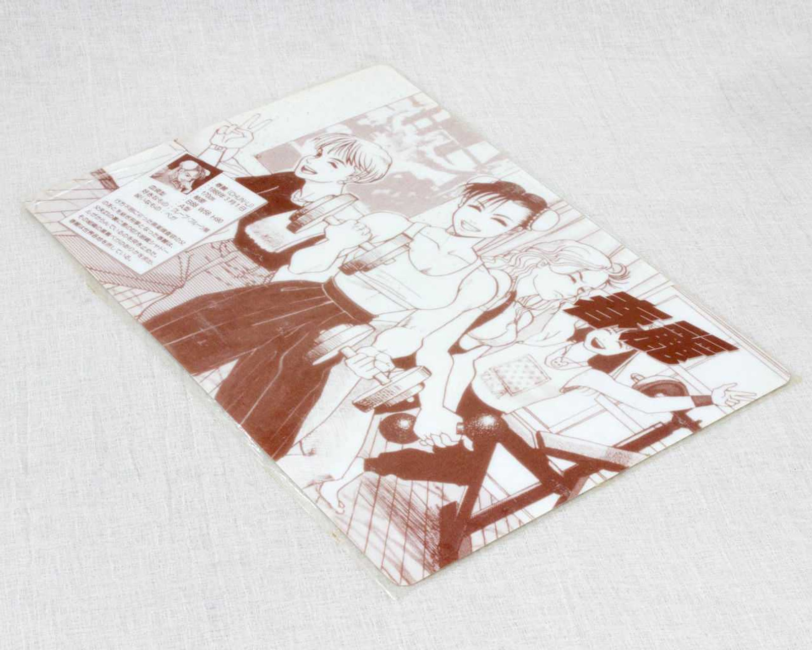 Street Fighter 2 Chun-Li Plastic Pencil Board Pad Shitajiki JAPAN CAPCOM Japanimedia Store