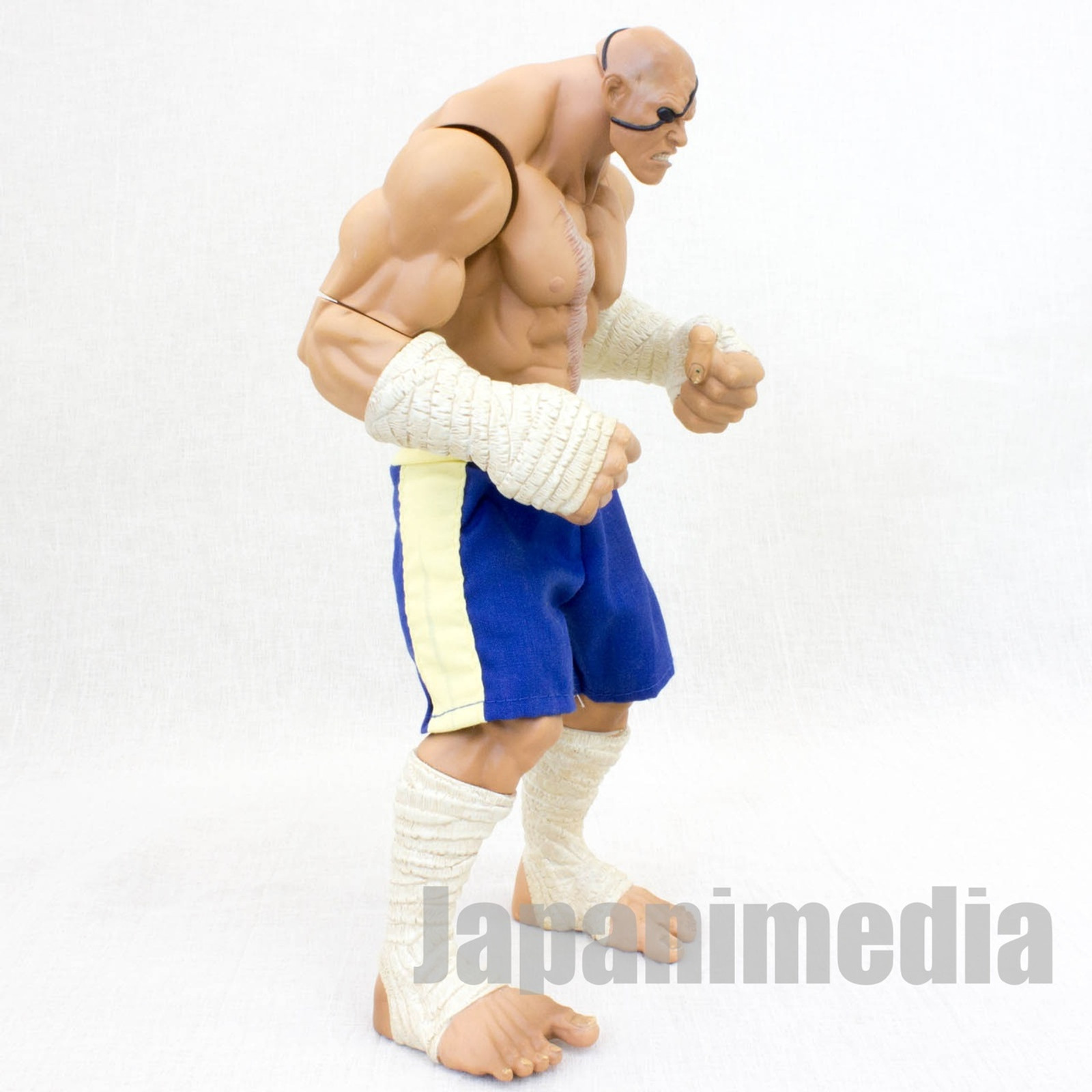 Street Fighter Sagat Roto Figure Blue Ver. SOTA Toy Capcom JAPAN GAME