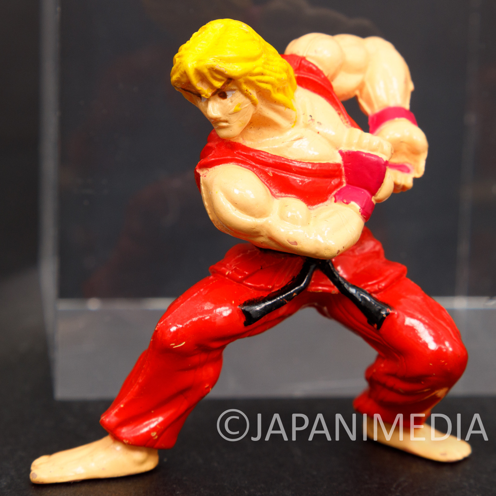Street Fighter Ryu Ken Action Figure