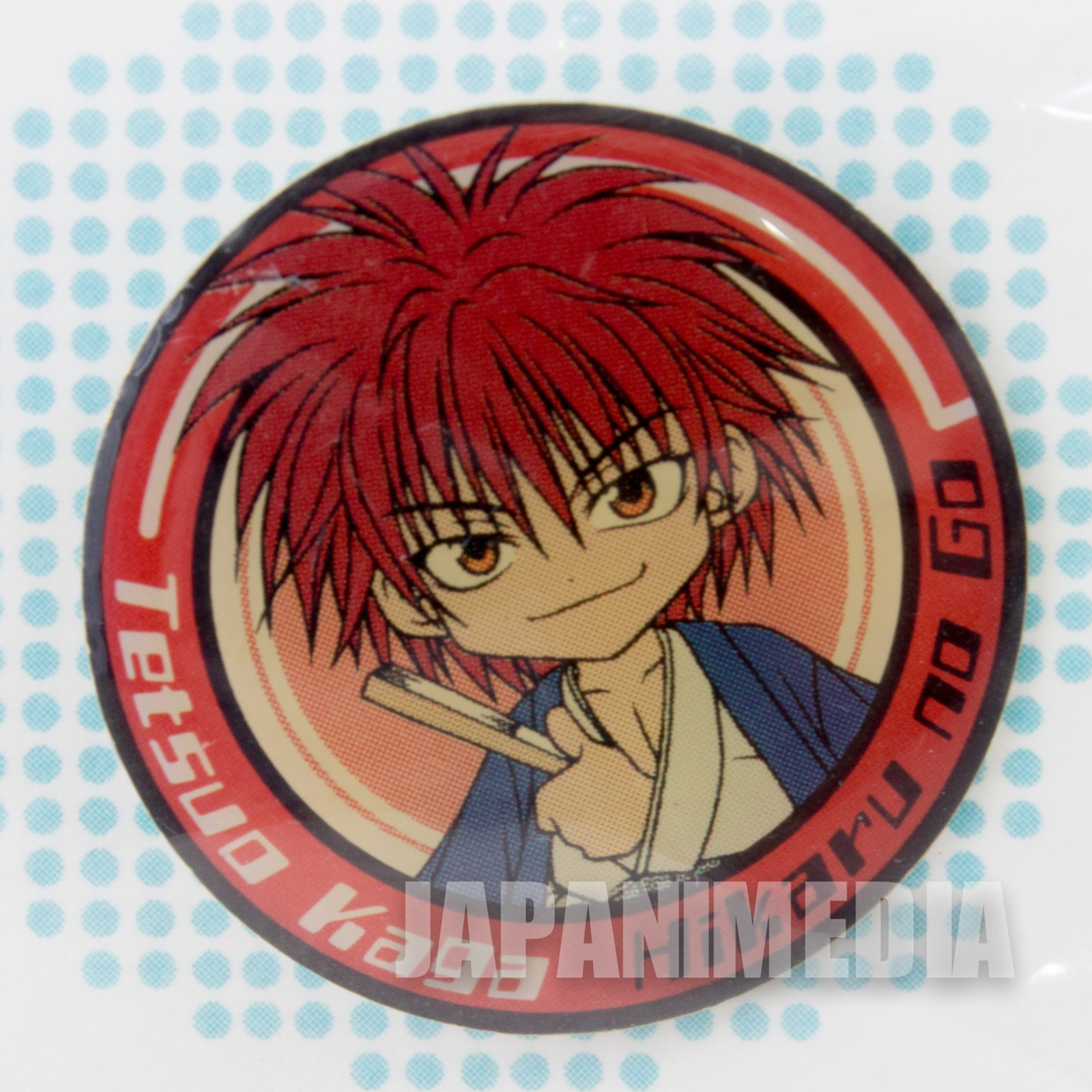 Hikaru no Go Hikaru Tetsuo Kaga Pins JAPAN ANIME MANGA