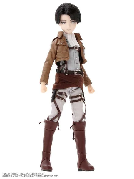 Attack on Titan Levi 1/6 Scale Doll Asterisk Collection Azone JAPAN FIGURE Japanimedia Store FRONT