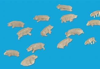 Horses N gauge Black