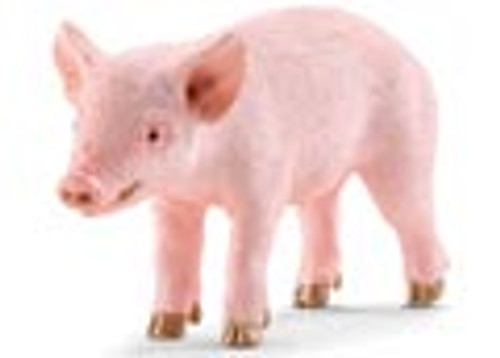 Piglet Standing
