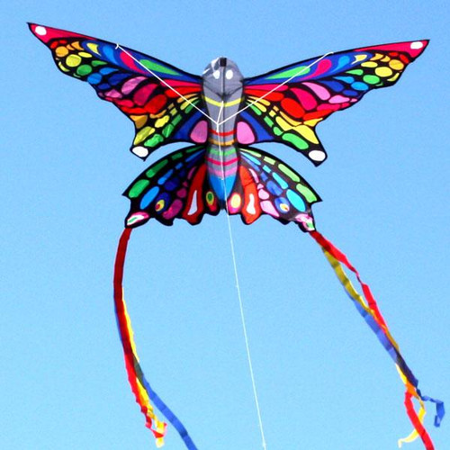Rainbow Butterfly Kite