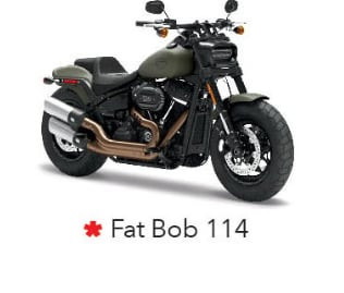 Harley Davidson 2022 Fat Bob 114 Green