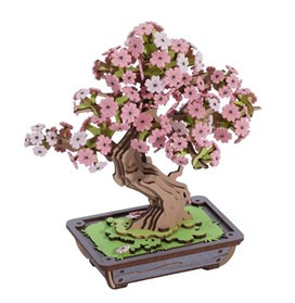 Sakura Bonsai