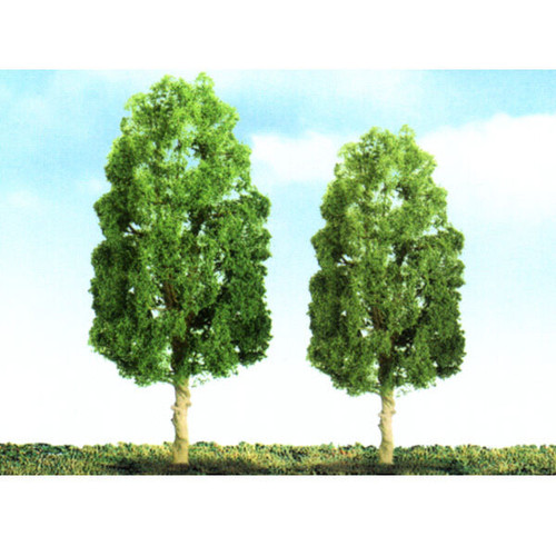 Sycamore Trees 153mm (1)