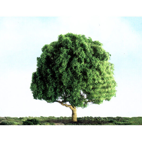  Oak Trees 78mm (2)