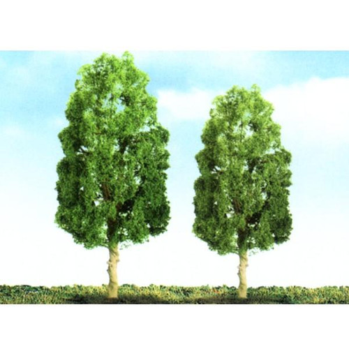 Sycamore Trees 51mm (4)