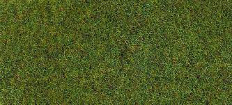 Heki Static Grass Forest Floor 100g