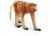 Proboscis Monkey Save