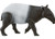 Tapir