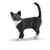 Cat Standing