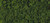 Flocking Course Dark Green 