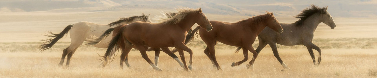 Horse Trailer Mattress Pads & Covers