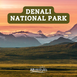 Denali by RV: A Drive on Alaska’s Wild Side