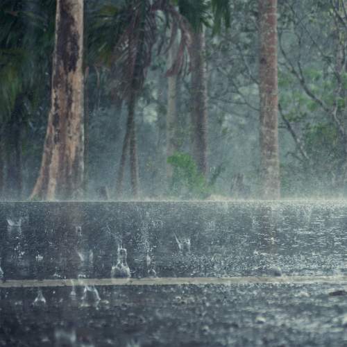 How to Clean & Sanitize Your RV Bedding After Water Damage AB