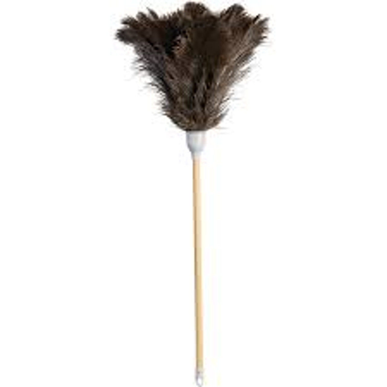 Plumeau supérieur, Plume autruche