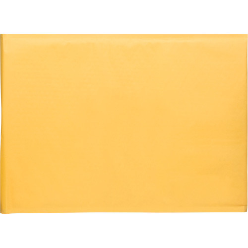 Enveloppes postales coussinées Kraft 14-1/4 x 20