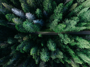 L'ecomobilità perché è essenziale