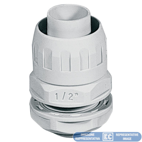 ETNECGX20-21