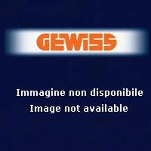 GEWGW60013